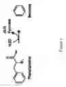 Fig. 03 - Microorganisms and methods for the biosynthesis of aromatics, 2,4-pentadienoate and 1,3-butadiene