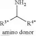 Fig. 20 - Biocatalytic transamination process
