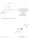 Fig. 29 - Biocatalytic transamination process