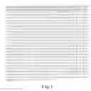 Fig. 02 - BACILLUS MEGATERIUM RECOMBINANT PROTEIN EXPRESSION SYSTEM