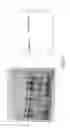 Fig. 28 - BACILLUS MEGATERIUM RECOMBINANT PROTEIN EXPRESSION SYSTEM