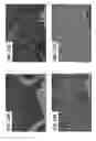 Fig. 11 - Aluminum alloy compositions and methods of making and using the same
