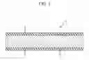 Fig. 02 - Electrical steel sheet