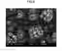 Fig. 07 - METHOD OF PRODUCING SILICON-PLATED METAL SHEET