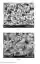 Fig. 02 - Method of producing a filler