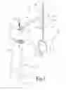 Fig. 02 - Anchorable stand for a water movement device