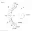 Fig. 08 - Gear Pump