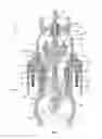 Fig. 02 - Fluid system coupling with internal valves
