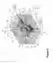 Fig. 06 - Valve block having minimal deadleg