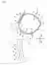 Fig. 04 - Vehicle lamp