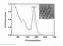 Fig. 01 - Quantum dot light emitting diodes for multiplex gas sensing