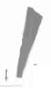 Fig. 08 - Portable spectrometer
