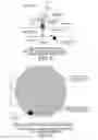 Fig. 04 - Multi-surface specular reflection inspector