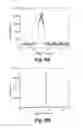 Fig. 07 - Method and apparatus for spatial compression and increased mobility resolution of ions