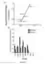 Fig. 05 - NOVEL METHODS AND DEVICES FOR HIGH-THROUGHPUT QUANTIFICATION, DETECTION AND TEMPORAL PROFILING OF CELLULAR SECRETIONS, AND COMPOSITIONS IDENTIFIED USING SAME