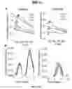 Fig. 28 - NOVEL METHODS AND DEVICES FOR HIGH-THROUGHPUT QUANTIFICATION, DETECTION AND TEMPORAL PROFILING OF CELLULAR SECRETIONS, AND COMPOSITIONS IDENTIFIED USING SAME