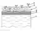 Fig. 01 - Biological sensor and a method of the production of biological sensor