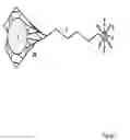 Fig. 04 - Methods and systems for analyzing a sample with a construct comprising a fluorescent moiety and a magnetic moiety