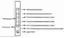 Fig. 01 - RAPID IMMUNOASSAYS