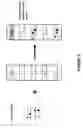 Fig. 06 - RAPID IMMUNOASSAYS