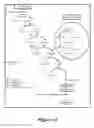 Fig. 02 - Identification of novel disease states using viscoelastic analysis in the presence of a thrombolytic agent