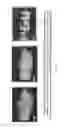 Fig. 08 - X-ray backscatter inspection system