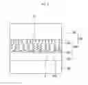 Fig. 04 - Organic light emitting diode device