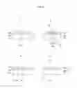 Fig. 06 - Display substrate having improved manufacturability