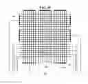 Fig. 31 - Fingerprint sensor integrated type touchscreen device