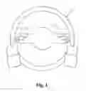 Fig. 02 - IDENTIFICATION MODE AND INPUT MODE OPERATED INPUT DEVICE