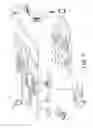 Fig. 09 - Auto-aligner for virtual reality display