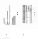 Fig. 08 - Multiprovider paging through a central hub system