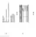 Fig. 09 - Multiprovider paging through a central hub system