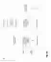 Fig. 09 - AUTOMATIC GENERATION OF RADIOLOGY REPORTS FROM IMAGES AND AUTOMATIC RULE OUT OF IMAGES WITHOUT FINDINGS
