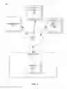 Fig. 02 - Maliciousness Categorization of Application Packages Based on Dynamic Analysis