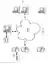 Fig. 25 - METHOD, SYSTEM AND COMPUTER READABLE MEDIUM FOR WEB SITE ACCOUNT AND E-COMMERCE MANAGEMENT FROM A CENTRAL LOCATION