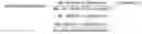 Fig. 02 - Recording medium, product recommendation system, and product recommendation method