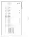 Fig. 02 - 1 Click, Many Orders