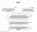 Fig. 08 - METHODS AND SYSTEMS FOR PERFORMING PEER TO PEER REAL ESTATE TRANSACTIONS