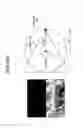 Fig. 25 - Information processing method, information processing device, and program