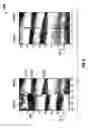 Fig. 06 - Image feature alignment