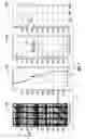 Fig. 07 - Image feature alignment