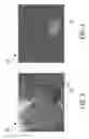 Fig. 04 - Camera calibration based on moving vehicle line segments