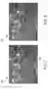 Fig. 06 - Camera calibration based on moving vehicle line segments