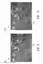 Fig. 07 - Camera calibration based on moving vehicle line segments