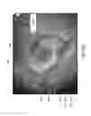 Fig. 24 - Graphic overlay for measuring dimensions of features using a video inspection device