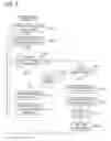 Fig. 06 - Electronic device, code display method of electronic device and recording medium