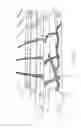 Fig. 07 - Detachable bridge for stringed instrument