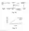 Fig. 07 - Polyanion copolymers for use with conducting polymers in solid electrolytic capacitors