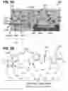 Fig. 04 - Chip package comprising a chemical compound and a method of forming a chip package comprising a chemical compound